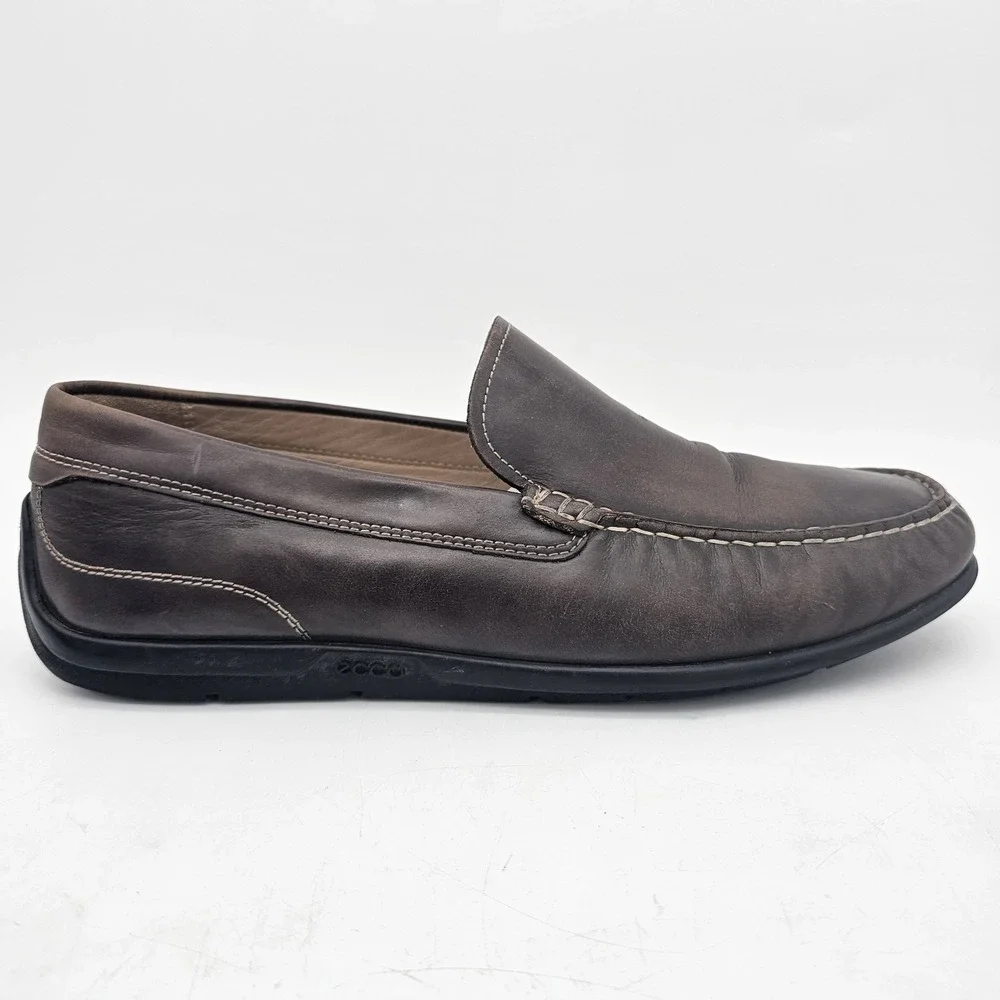 Ecco great pre
